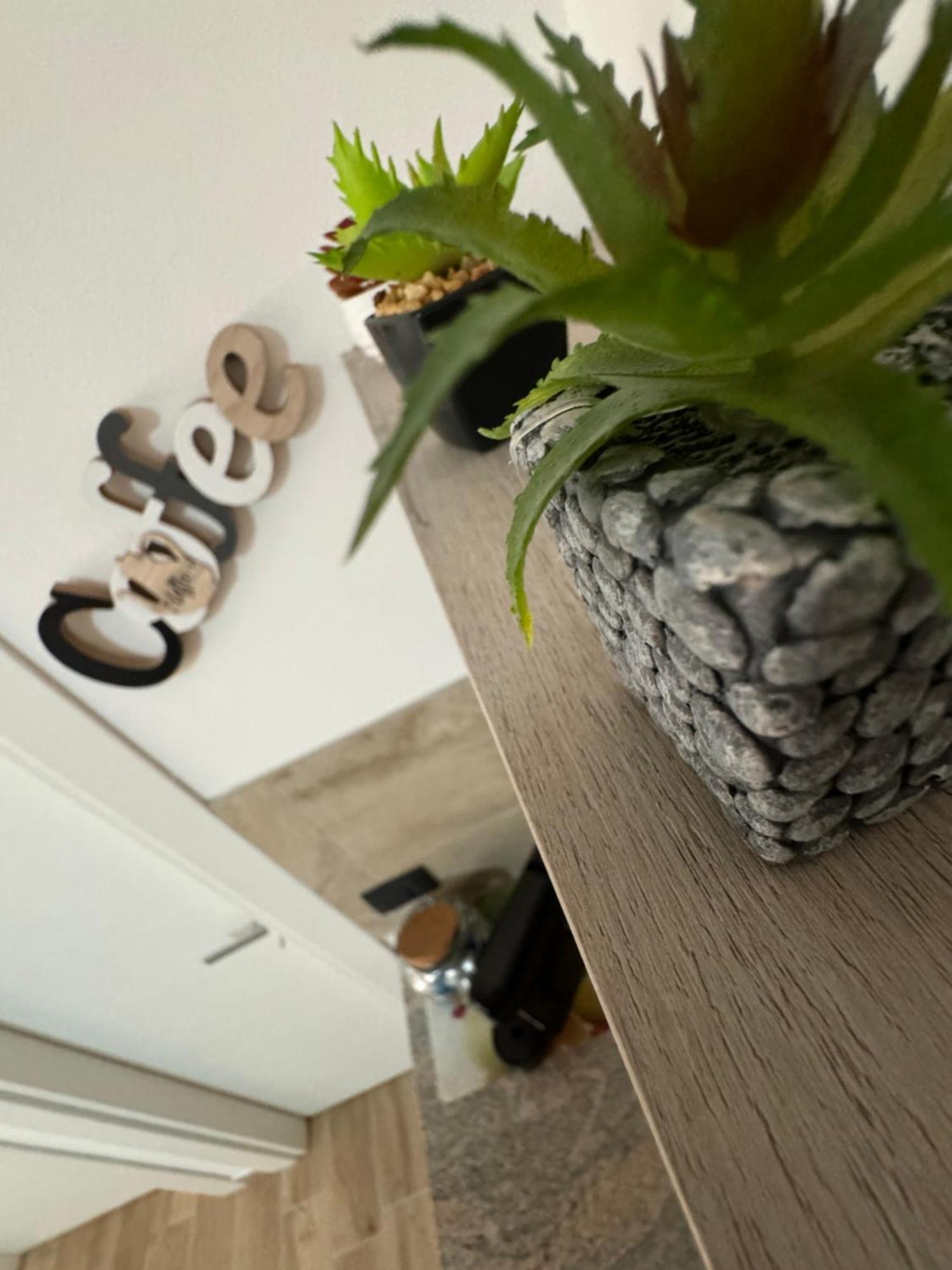 Mc Rooms Torretta  Екстериор снимка